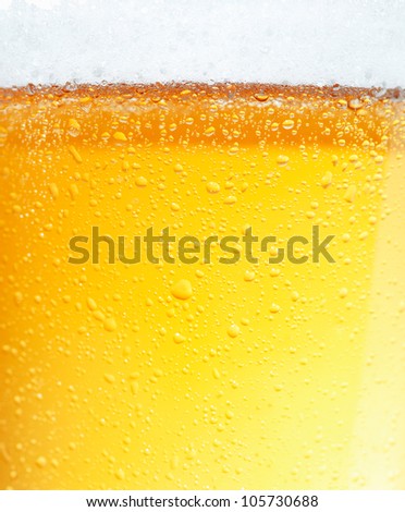 Close-up picture of a beer with the foam in the top and bubbles.
