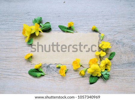 flowers on a wooden ,floral frame ,Spring or summer background