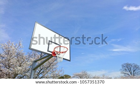 outside basketball court
