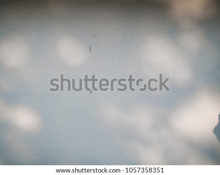 Tree leaves shadow on wall background, Abstract Background Cement Wall Shadow Light Concept
