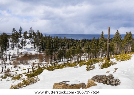 Cloudy spring day with snow covering the Sierra Mountains, Lake Tahoe in the background; Van Sickle Bi-State Park; California