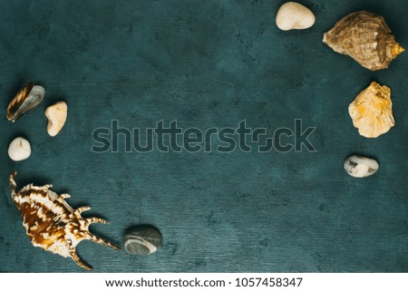 Shells and stones against a dark background with a free place.