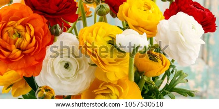 Easter arrangement with ranunculus asiaticus (persian buttercup flower)