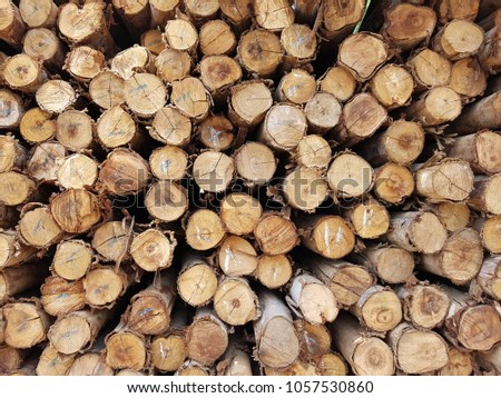 Top viewing of a pile of natural wooden timber logs, as abstract natural background.