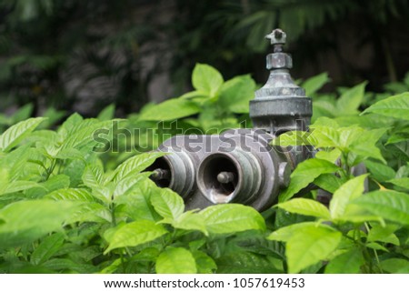 Silver fire hydrant in the garden