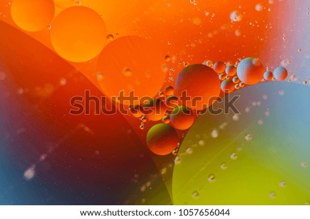Colored circles of oil in water. Macro abstract.