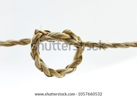 Rope knotted on a white background.  