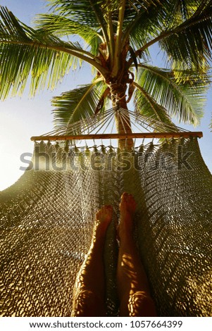 Person relaxing on hammock under palm tree