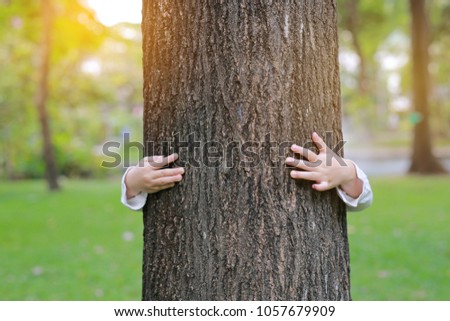 kid hands embracing a tree trunk in the nature park with rays of morning sunlight.
