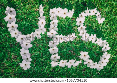 Picture of Green Lawn Write Yes With white flowers Focus on flowers