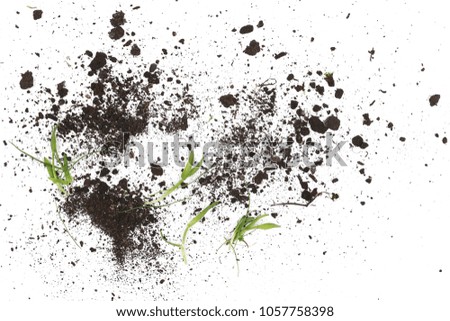 Pile of soil, dirt with grass isolated on white background, top view