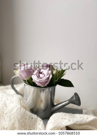 shabby roses on white background in metal waterpot. light purple roses
