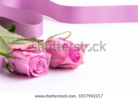 Rose flower valentine background image