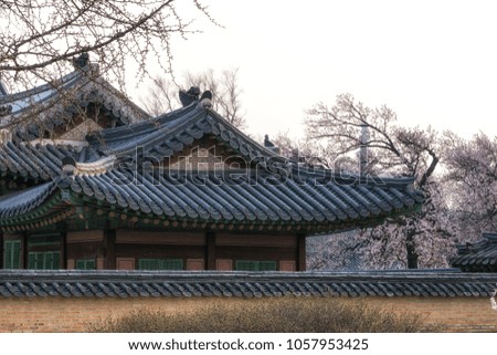Gyeongbokgung palace historic korean architectures taken during late afternoon. Seoul, South Korea.