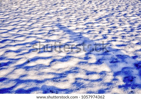 Fresh snow field in the Ardennes resulting in a winter wonderland