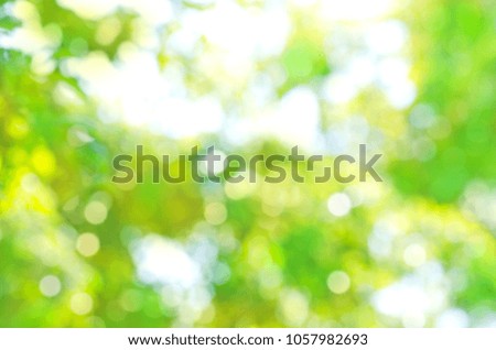 Green bokeh abstract light background. Natural bokeh background 
