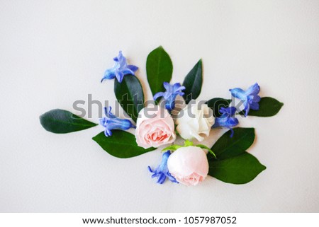 Flat lay, flowers on the white background