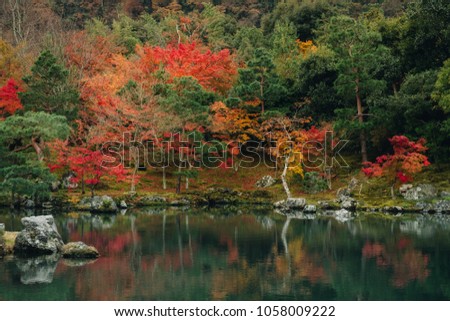 the beautiful reflection of autumn forest in the pond at Tenryuji temple, Arashiyama, Kyoto, 