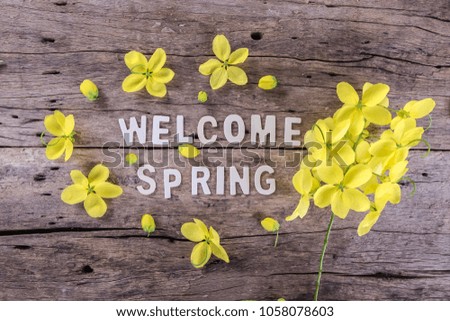Text "Welcome spring"  with yellow flower on wooden background.