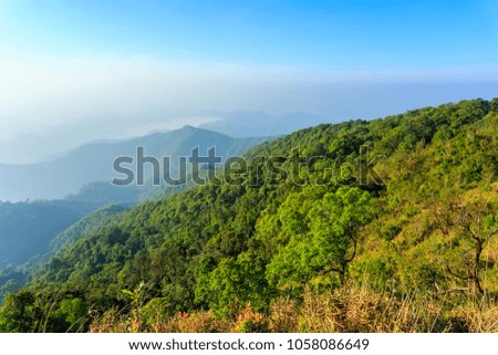 Mountains and tropical forests