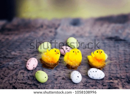Still life photo of easter eggs and chicks on wooden floor
