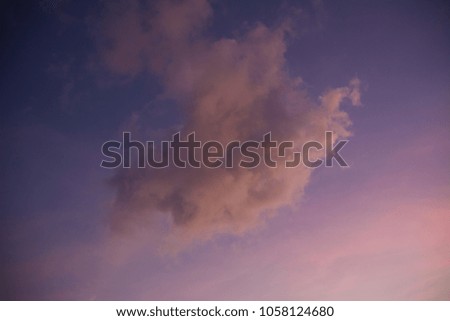 Colorful sunset with tree silhouette. evening sky countryside landscape