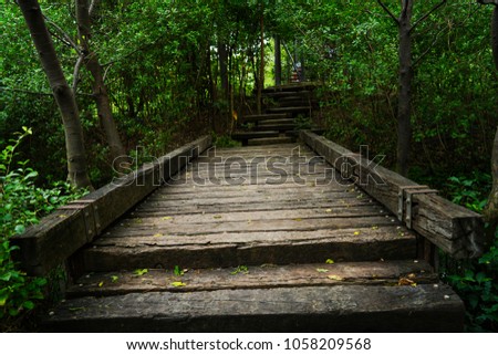 Wooden pathway in the park