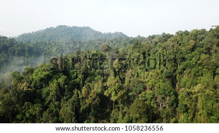 Rainforest. Aerial landscape photo of tropical jungle rain forest in Southeast Asia