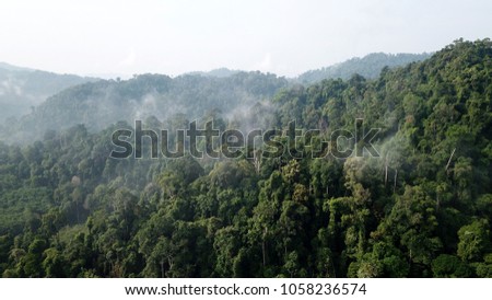 Rainforest. Aerial landscape photo of tropical jungle rain forest in Southeast Asia