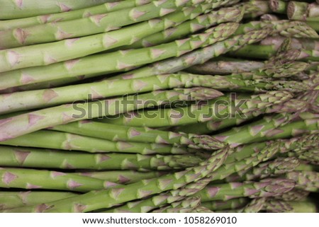 Close up outdoor view of asparagus tips rows. Picture taken in a french market during spring. Pattern of green, yellow and purple thin vegetable elements. Abstract natural image. Rough texture.  