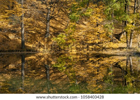 Autumn on the lake. Autumn Landscape. Park. The bright colors of autumn in the park by the lake. colorful autumn leaves reflecting in the water. 