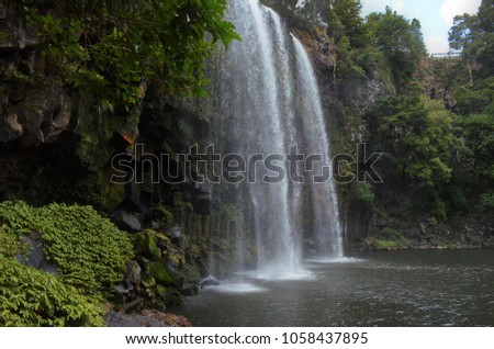 sideview of magical waterfall in Whangarei