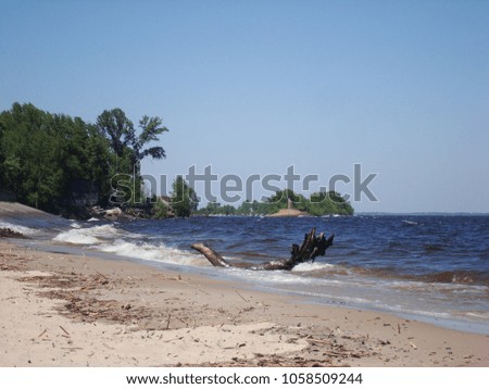 The coast of the river in a windy sunny day in the summer