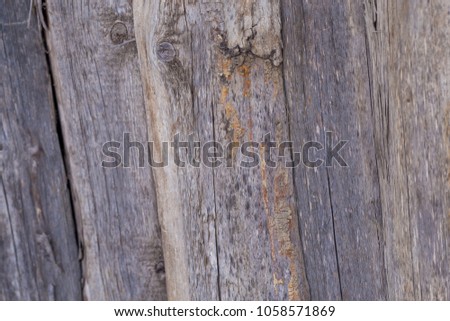 old rotten boards