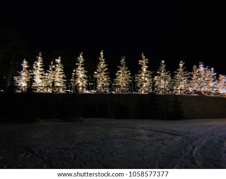 Christmas Trees With Lights at Night
