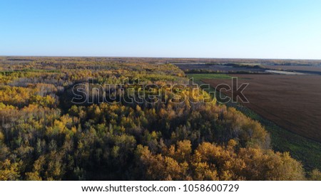 Autumn aerial photos