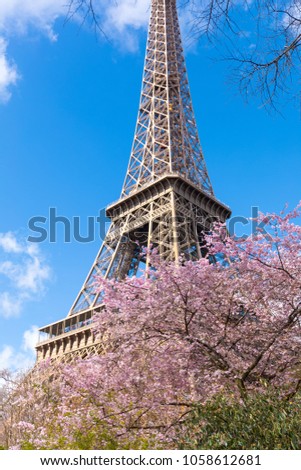 Spring at the Eiffel tower Paris