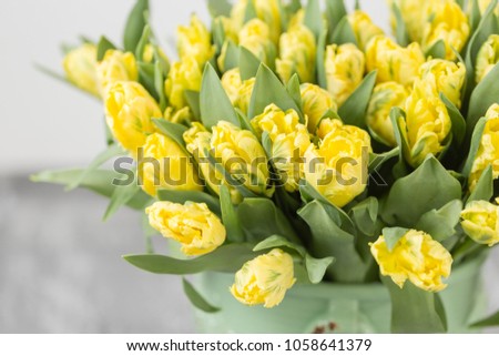 Tulips of yellow color in green vase. Big buds of multicoloured tulips. Floral natural backdrop. Bicolour tulips filled picture. Unusual flowers, unlike the others. type of flower parrot