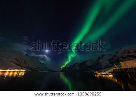 Northern Lights in Tromso Norway