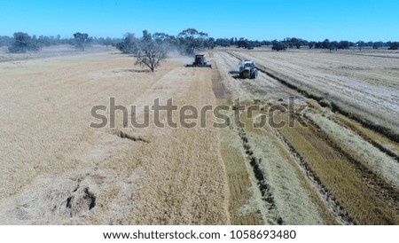 A combine harvester harvesting a rice crop in New South Wales, Australia.