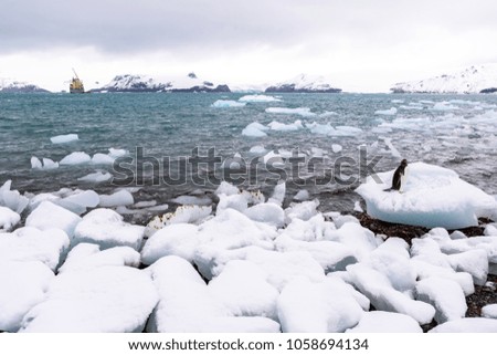 Beautiful landscape and scenery in Antarctica. 