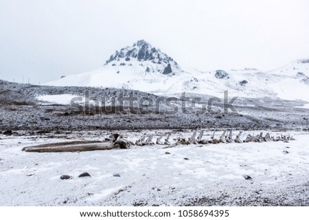 Beautiful landscape and scenery in Antarctica. Freezing