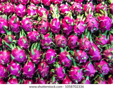 dragon fruits back ground texture