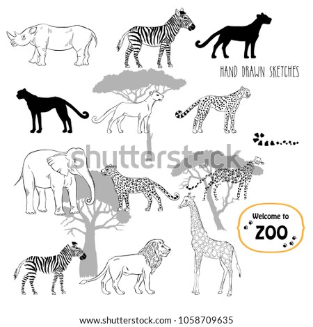 Zoo animals background. Hand drawn sketches set. Vector Illustration