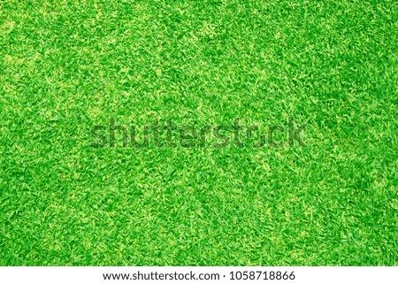 Green grass background texture Seamless green grass nature background
