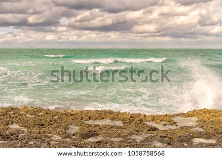The sea wave splits into splashes of the shore