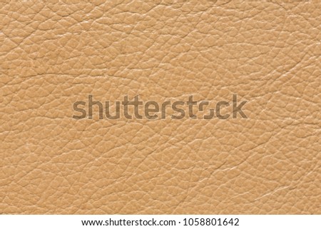 Elegant leather texture in ideal beige tone. High resolution photo.