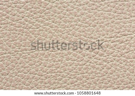 Gentle leathern texture in light colour. High resolution photo.