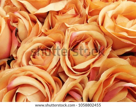 Artificial Orange Roses Background