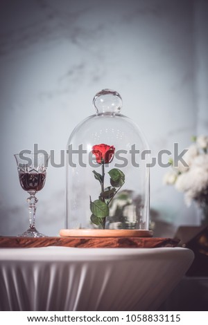 A enchanted rose in the glass covering on the wood table with sunlight in the moring.
